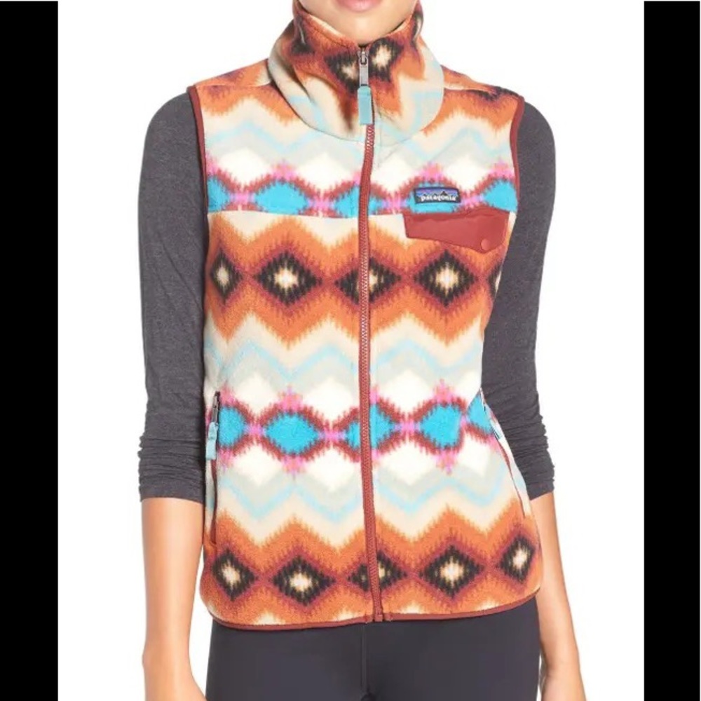 Patagonia Synchilla Vest